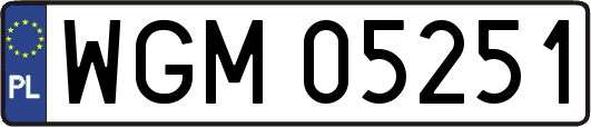 WGM05251