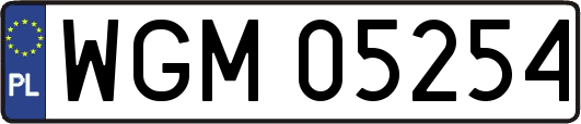 WGM05254
