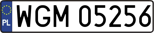 WGM05256