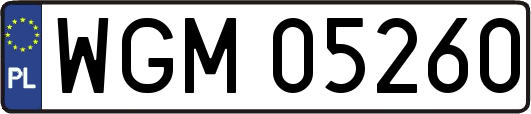 WGM05260