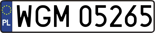 WGM05265