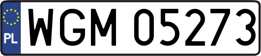 WGM05273