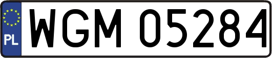 WGM05284
