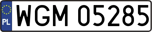 WGM05285