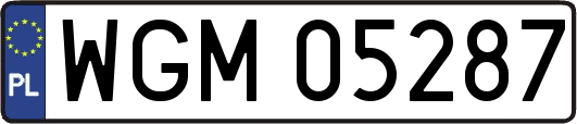 WGM05287