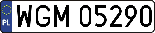WGM05290