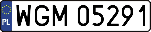 WGM05291