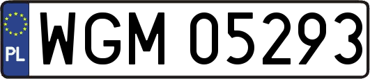 WGM05293