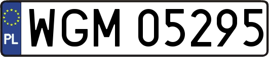 WGM05295