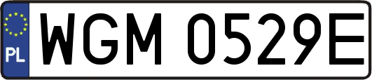 WGM0529E