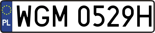 WGM0529H