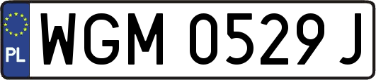 WGM0529J
