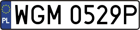 WGM0529P