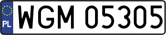 WGM05305