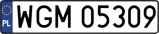 WGM05309