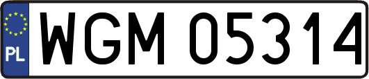 WGM05314
