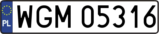 WGM05316