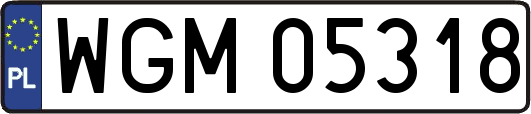 WGM05318
