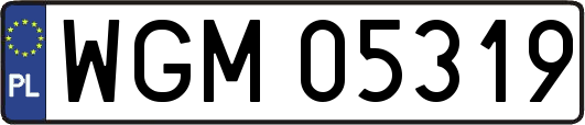 WGM05319