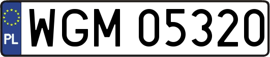 WGM05320