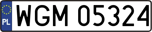 WGM05324