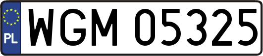 WGM05325