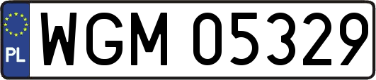 WGM05329