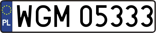 WGM05333
