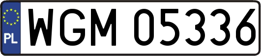 WGM05336