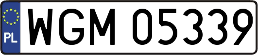 WGM05339