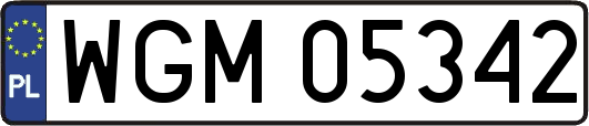 WGM05342