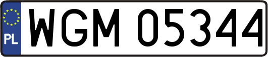 WGM05344