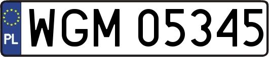 WGM05345