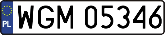 WGM05346