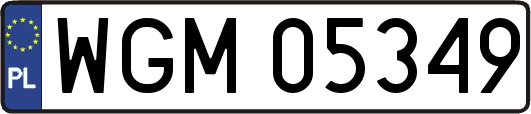 WGM05349