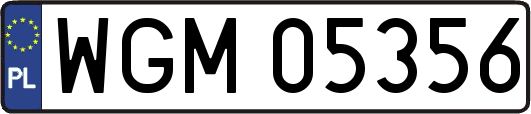 WGM05356