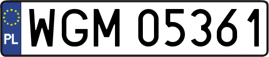 WGM05361