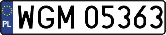WGM05363