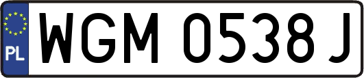 WGM0538J