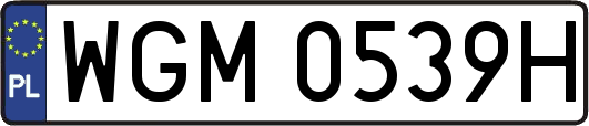 WGM0539H