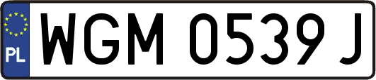 WGM0539J