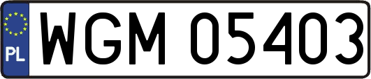WGM05403