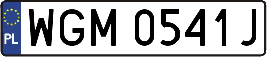 WGM0541J