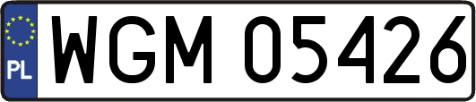 WGM05426