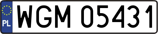 WGM05431