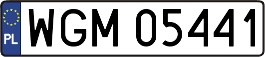 WGM05441