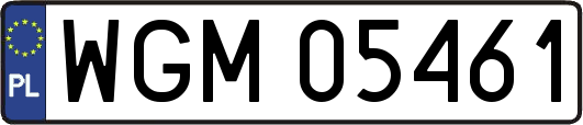 WGM05461