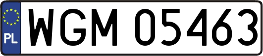 WGM05463