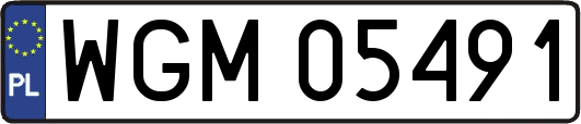 WGM05491