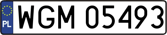 WGM05493